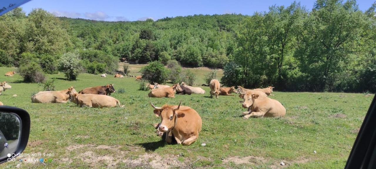 Hostal Rio Duero Molinos de Duero Eksteriør bilde